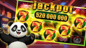 djbet55