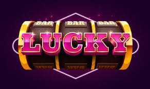djbet55